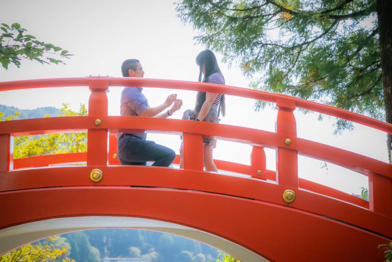 surprise proposal hakone japan