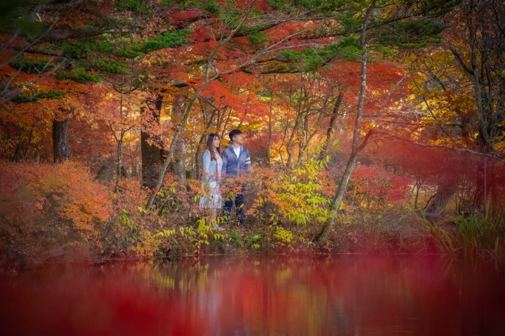 Surprised Proposal in Karuizawa in autumn color